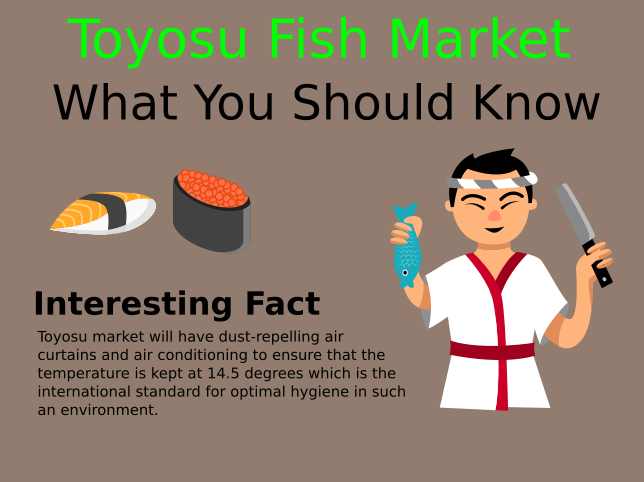 Toyosu Fish Market - What You Should Know